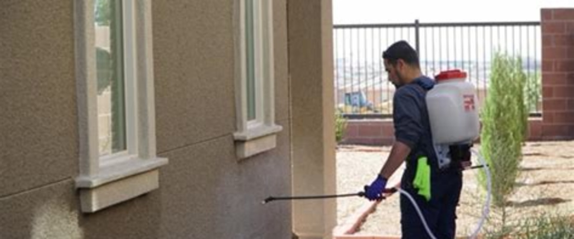Effective Strategies for Homeowners to Prevent Pest Infestations