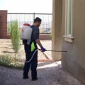 Effective Strategies for Homeowners to Prevent Pest Infestations