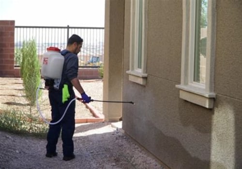 Effective Strategies for Homeowners to Prevent Pest Infestations
